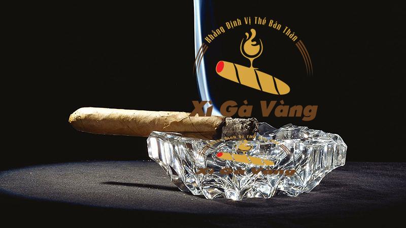 Có nhiều nguyên nhân dẫn đến tình trạng xì gà bị đắng